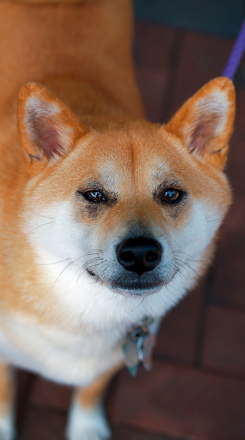 そら