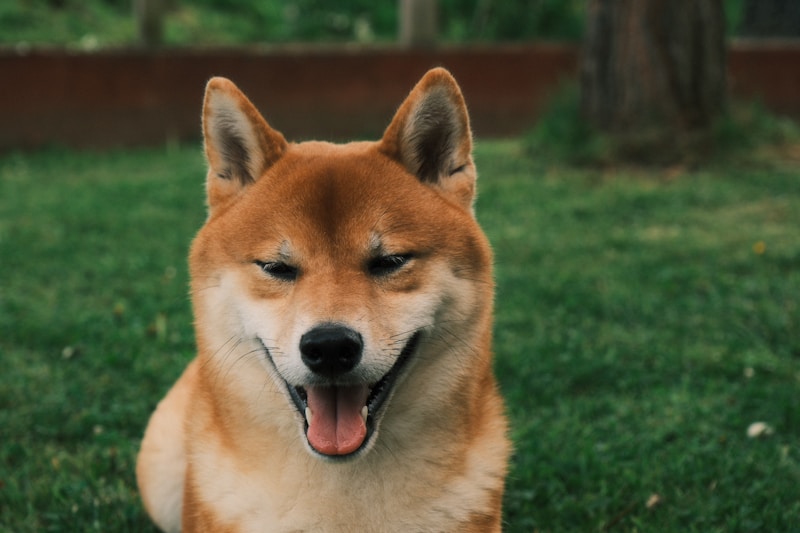 まる